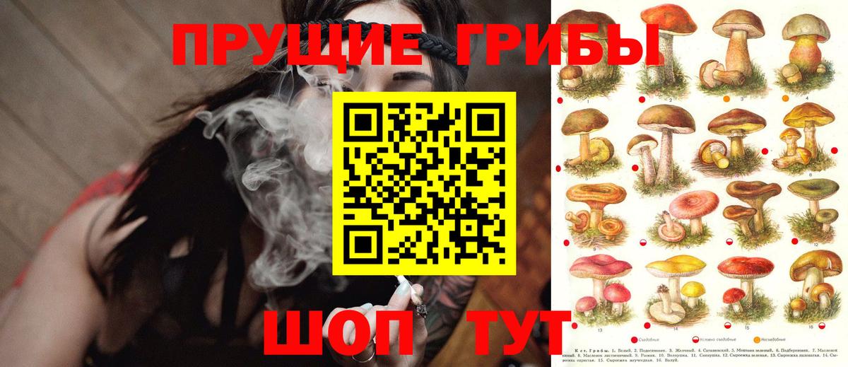 как найти закладки  Псилоцибиновые грибы мицелий  Вход с VPN  Псилоцибиновые грибы GOLDEN TEACHER  Красный Сулин 